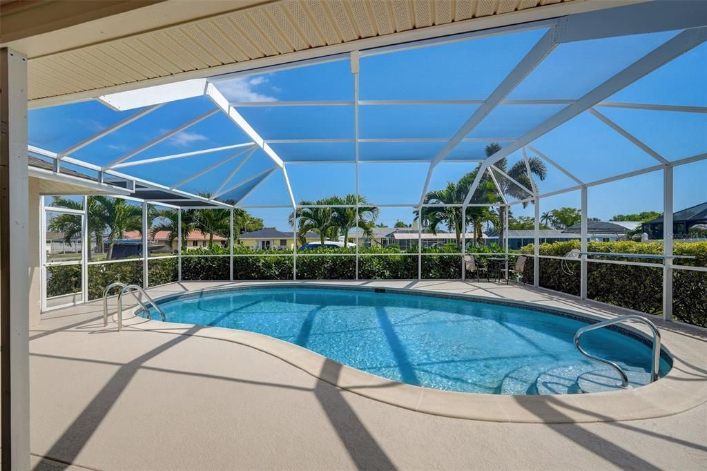 Pool And Screened Pool Cage