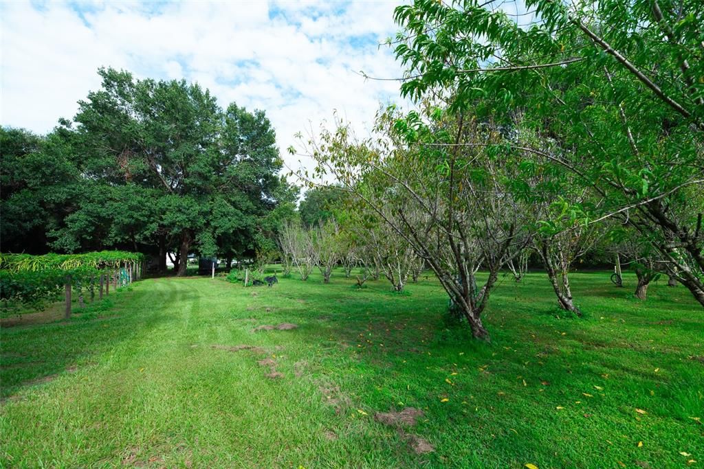 For Sale: $384,999 (2.47 acres)