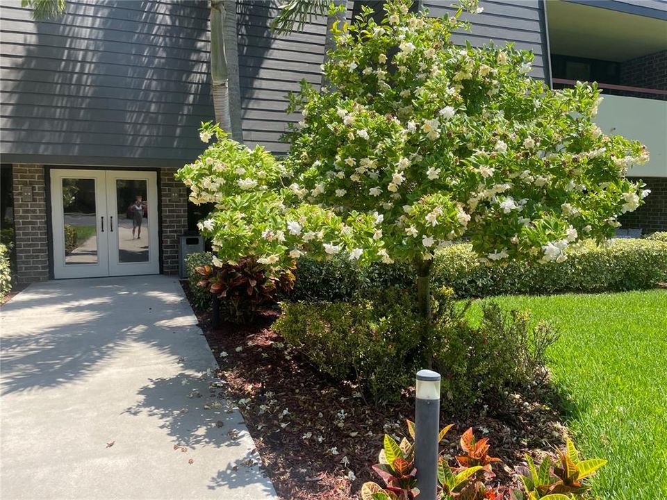 For Sale: $230,000 (1 beds, 1 baths, 825 Square Feet)