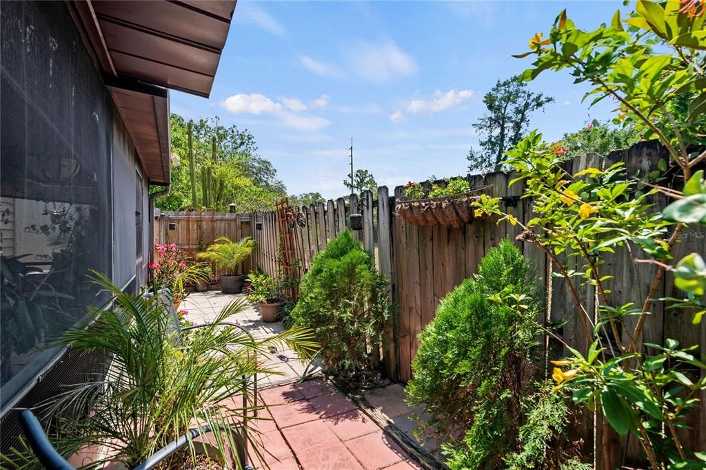 Fenced Backyard Area