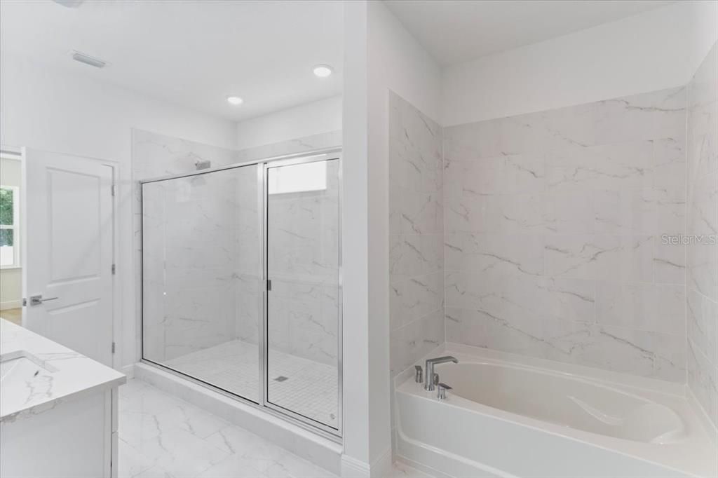 Owners Bathroom with Walk in Shower and Separate Soaking Tub