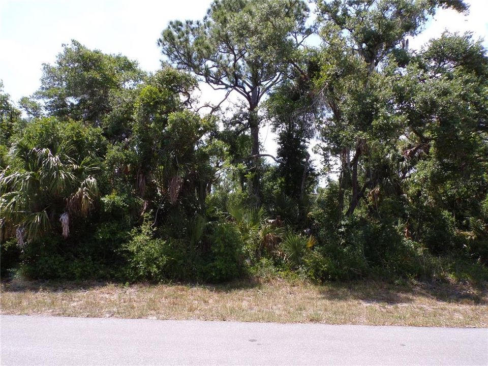 Active With Contract: $14,990 (0.23 acres)