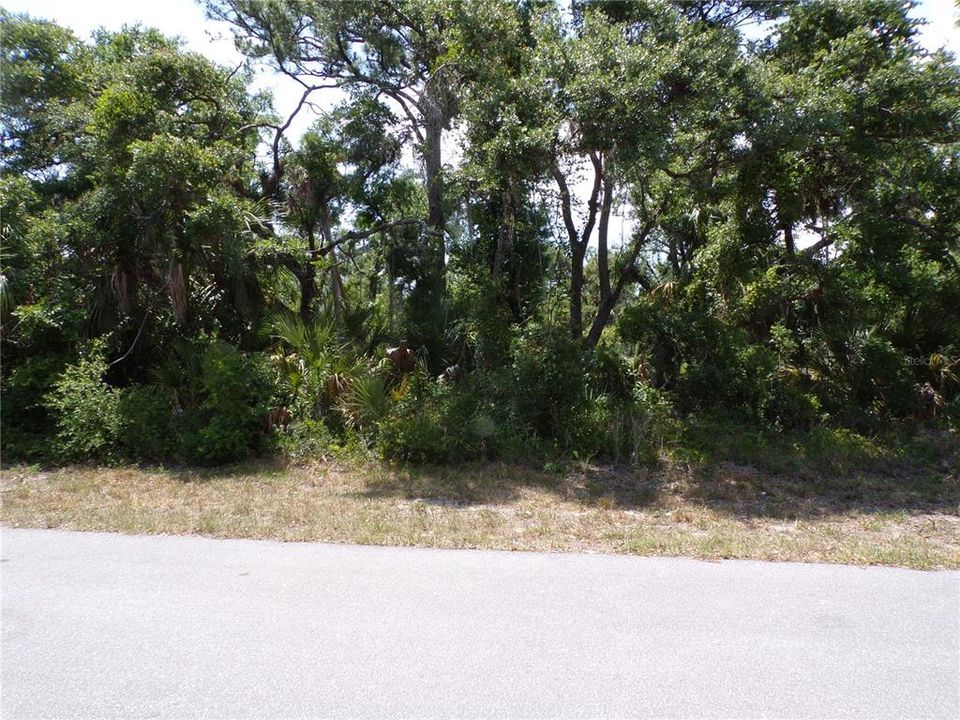 For Sale: $14,990 (0.23 acres)