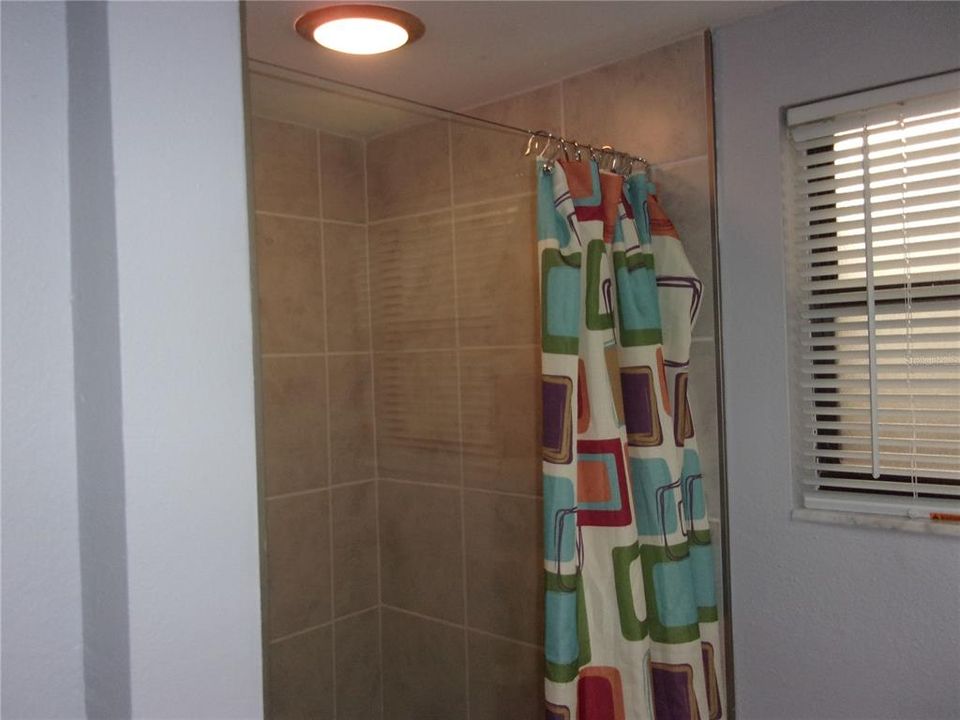 Guest Bathroom with Step in shower