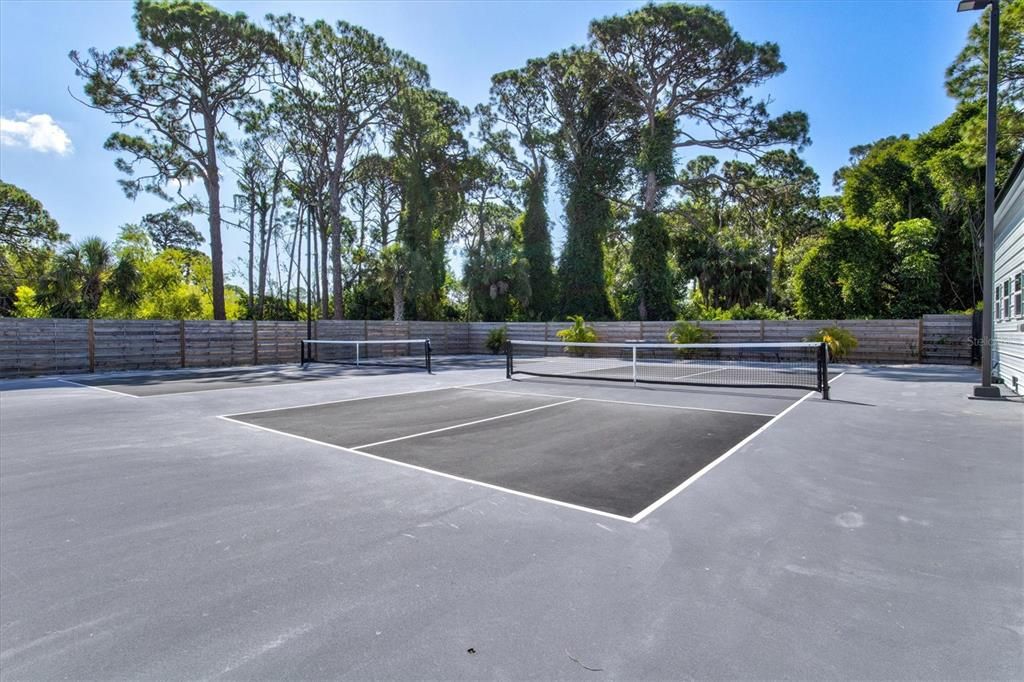 Two private, premier pickleball courts with commercial LED lights.