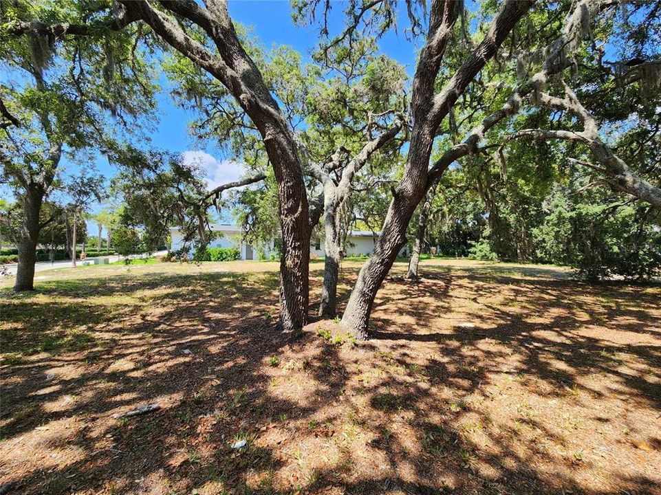 For Sale: $239,900 (0.40 acres)