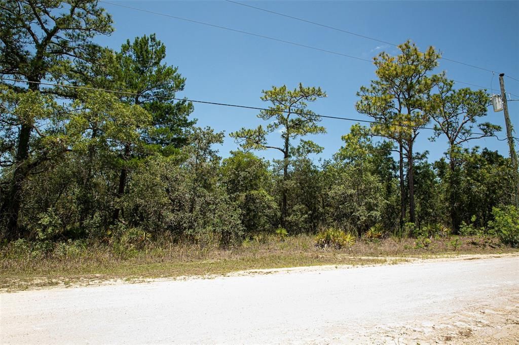 Recently Sold: $30,000 (0.46 acres)