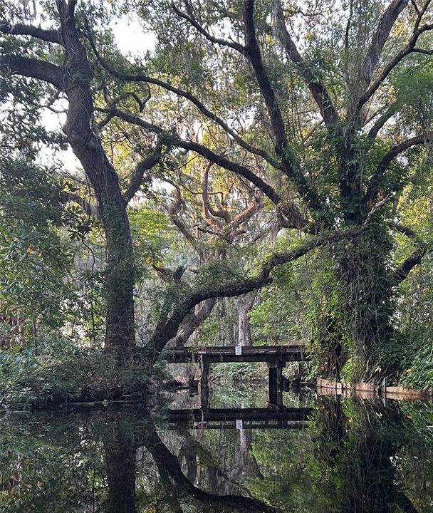 Canal leading to Lake Josephone