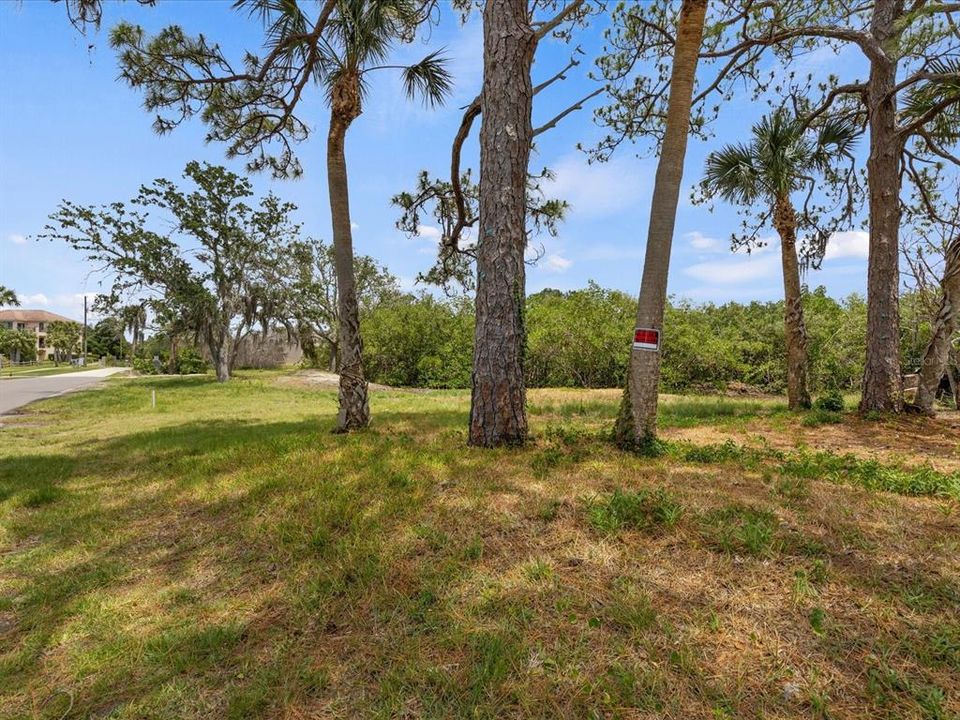 For Sale: $144,900 (0.51 acres)