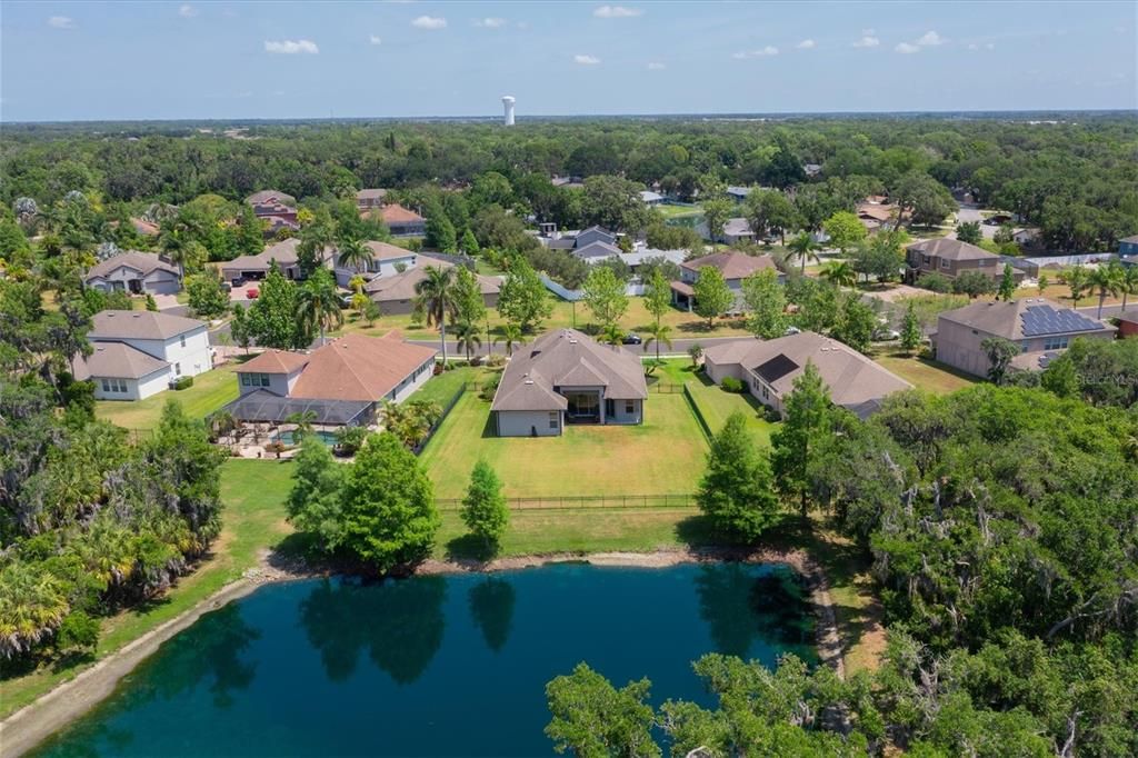 Wonderful fenced yard with view of lake and Preserve.