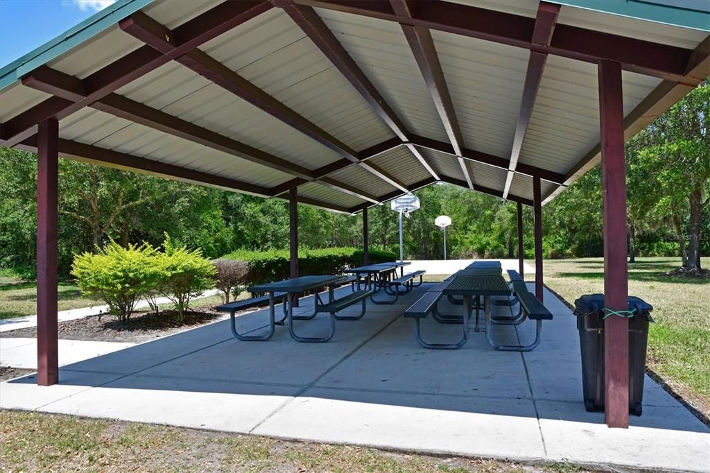 Community amenity!  Pavillion with picnic tables