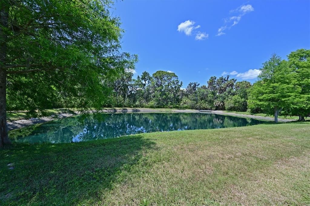 tranquil pond and preserve views!