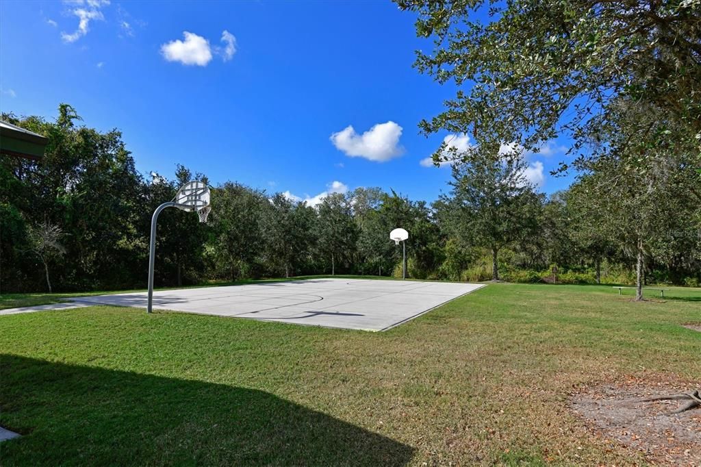 Basketball court