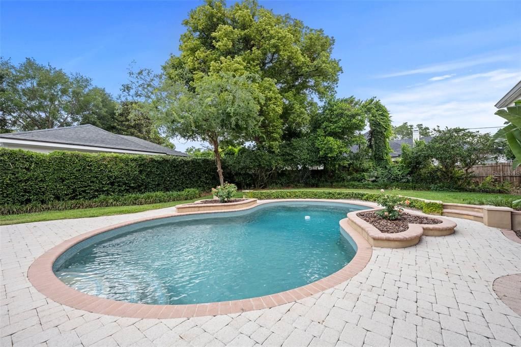 Beautiful pool and backyard