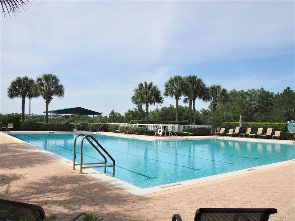 HEATED LAP POOL