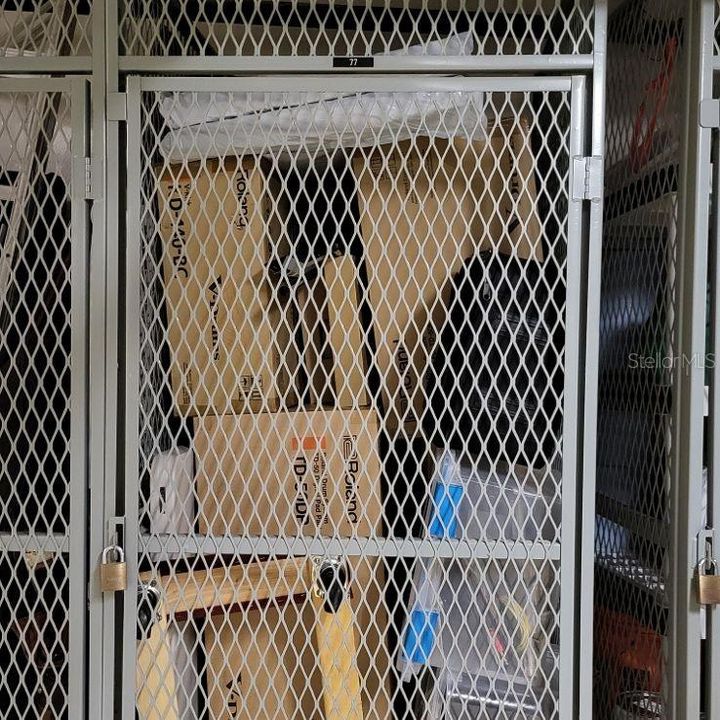 Storage locker in garage