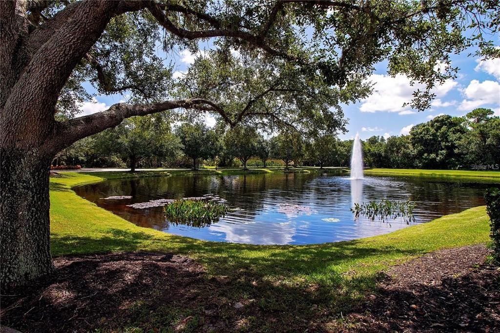 Community with large ponds with waterfalls