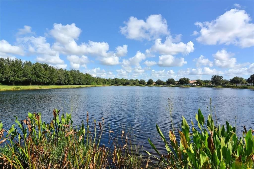 Private bridge Connecting East community to West community via the bridge leading to the amenity center with fitness center, basketball, tennis and pickleball courts, resort-style pool with kid splash pad, playground.