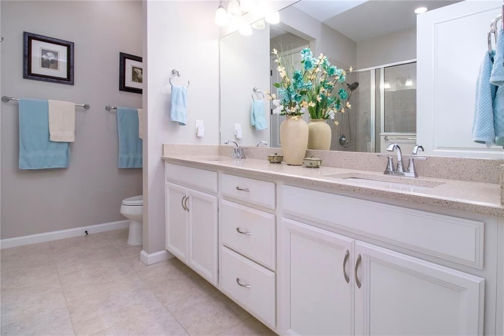 Ensuite bathroom, Quartz counters, with an oversized walk-in shower and separate dual sinks.