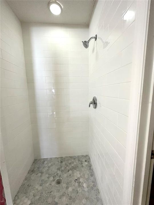 Master Shower