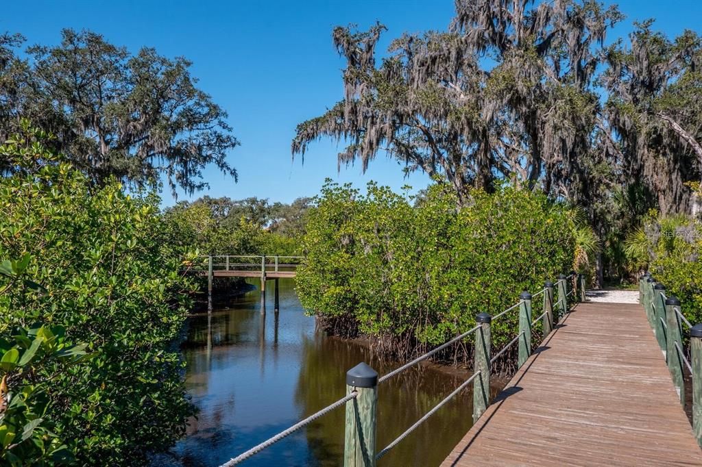 Walking paths that wind around the waterways