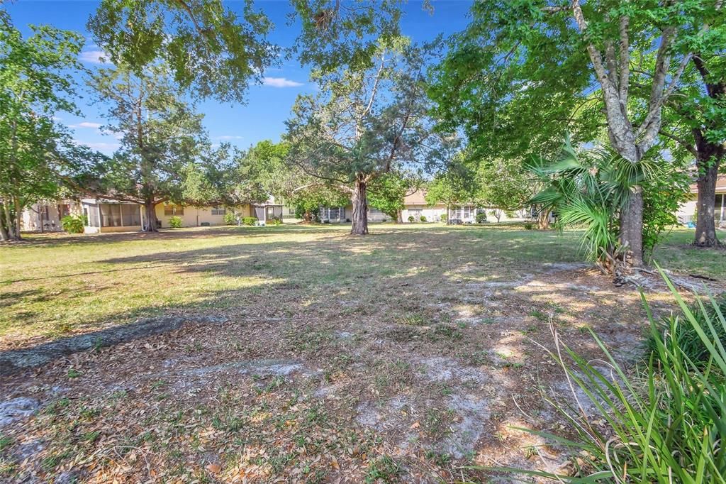 Common Area Behind Property