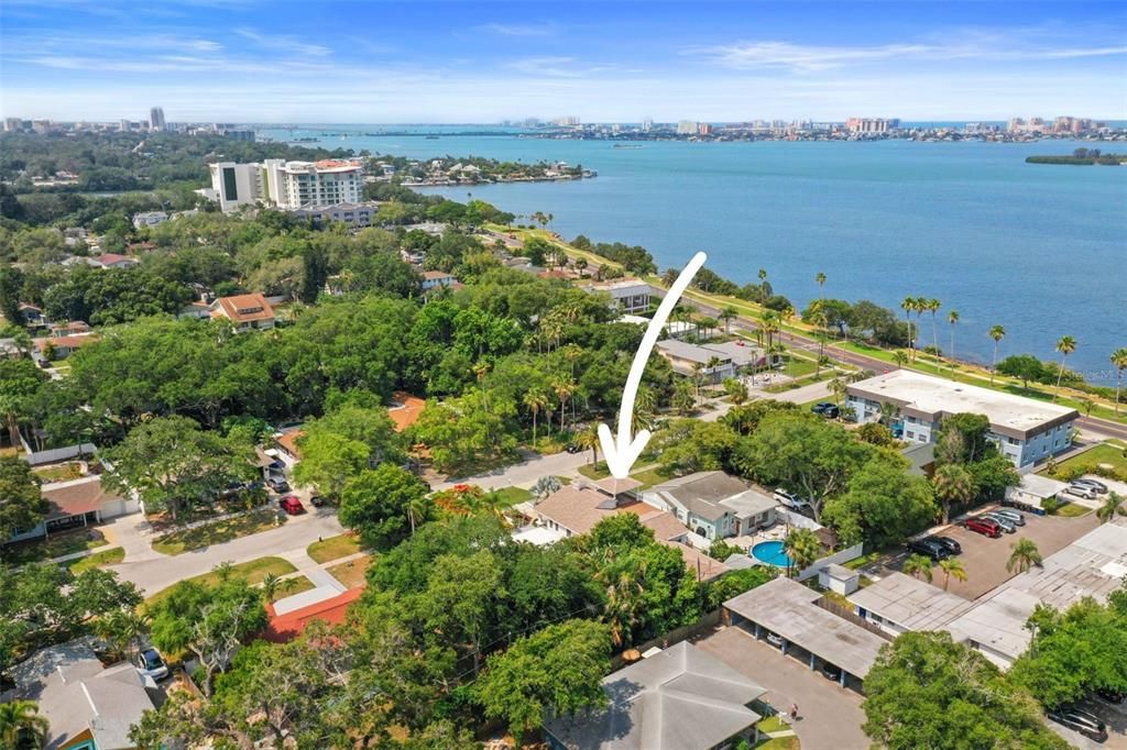 Location - Just off Edgewater Drive, Clearwater