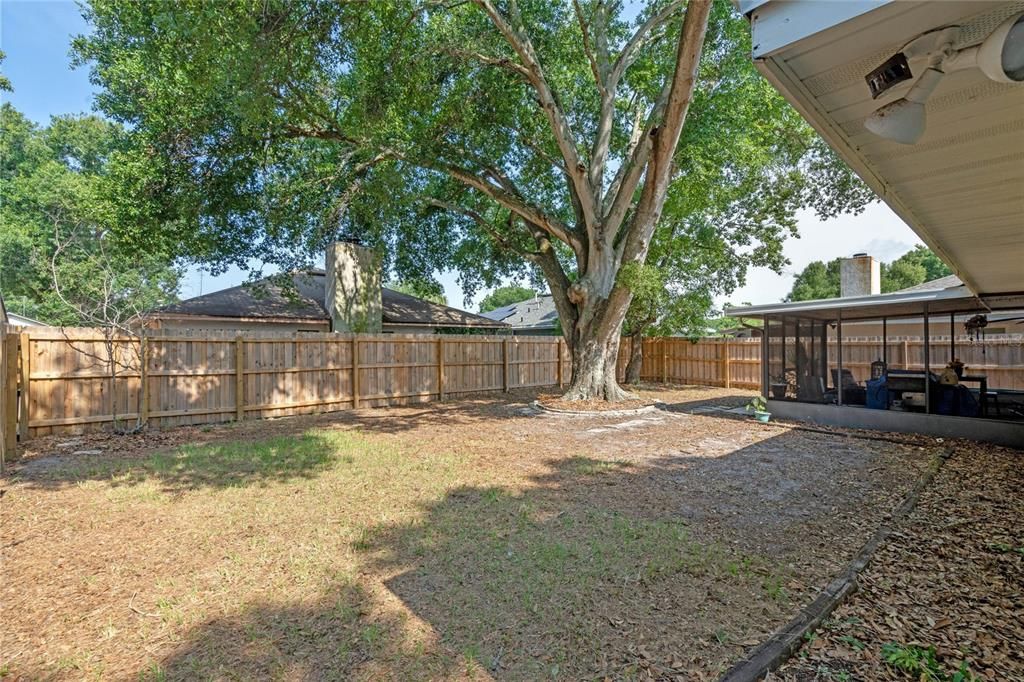 Large Fenced in Yard