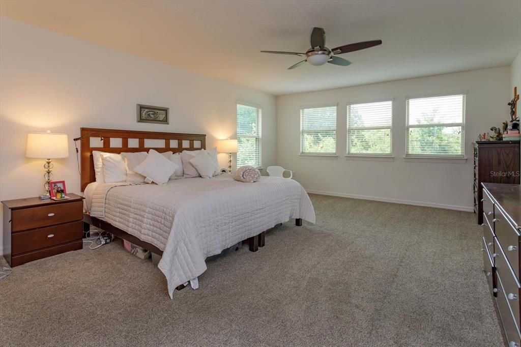 Master Bedroom with Lots of natural light and fresh carpet!