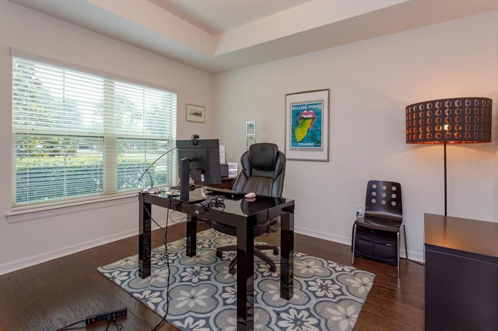 Private office with tray ceiling and view of the mature landscaping and greenspace across the street!