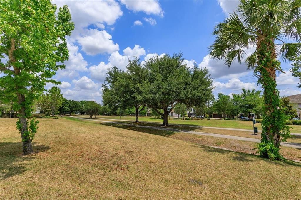 Greenspace across the street.