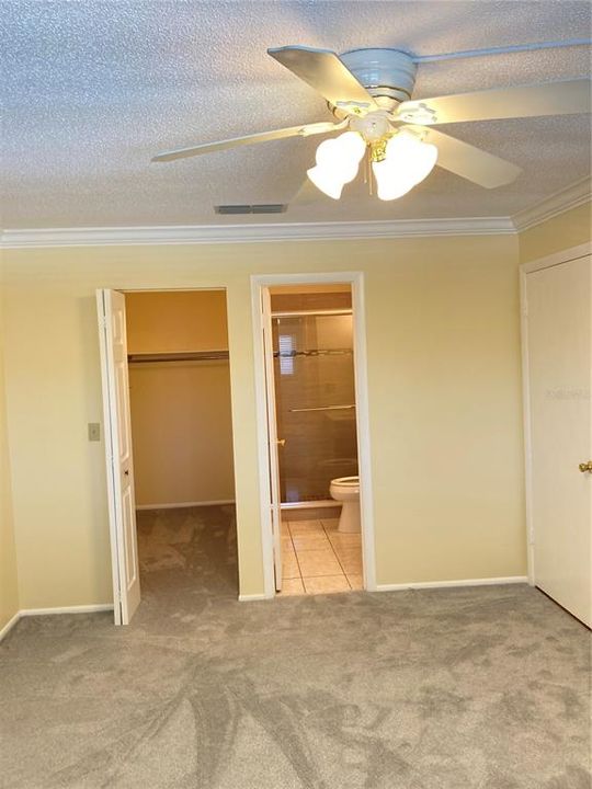 Master suite with walk in closet