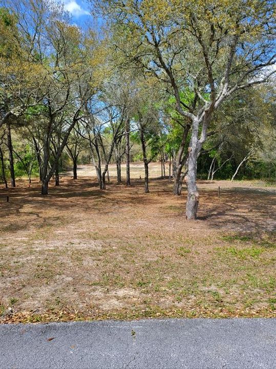 For Sale: $49,500 (0.92 acres)