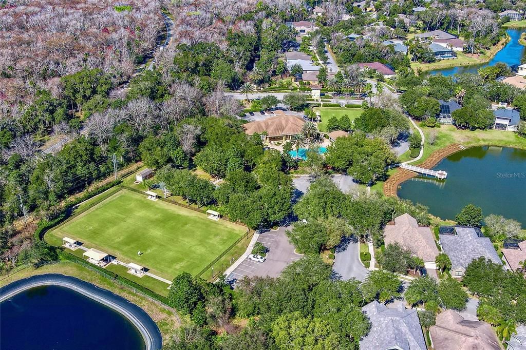 Resort style pool and crockett courts