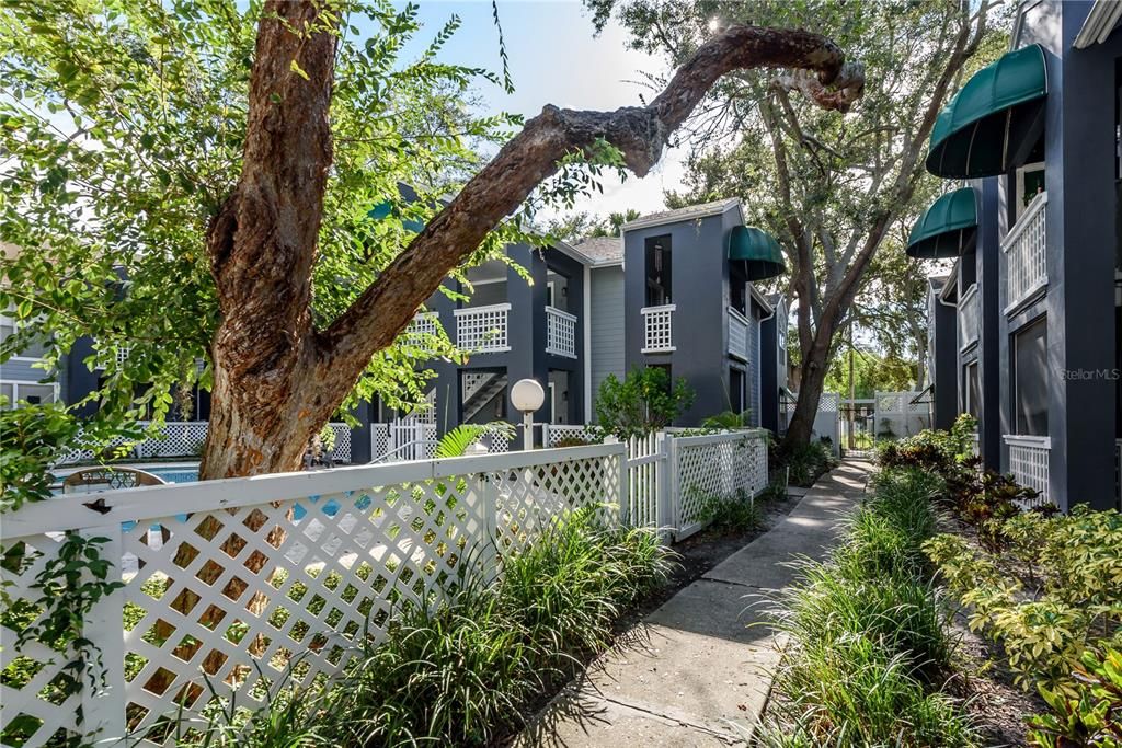Active With Contract: $389,900 (2 beds, 2 baths, 741 Square Feet)