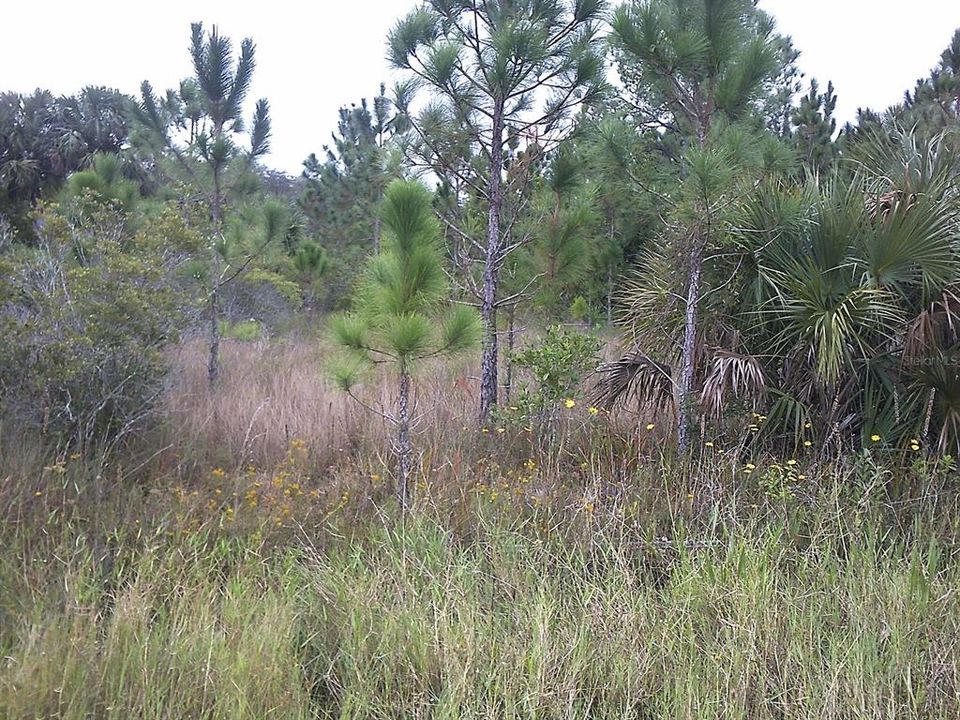 Active With Contract: $18,000 (1.25 acres)