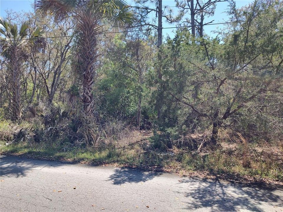Active With Contract: $38,500 (1.08 acres)