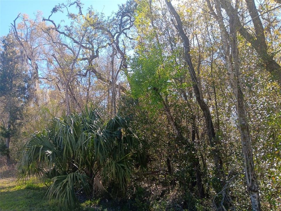 На продажу: $16,500 (0.55 acres)