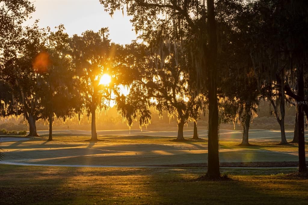 Golden Sunrise