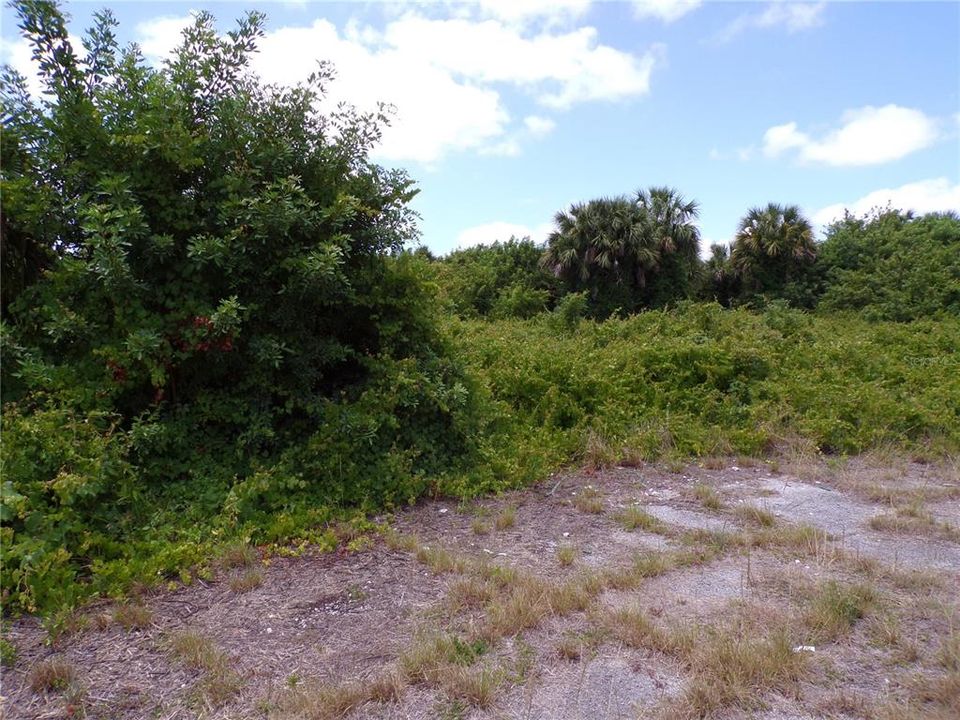 Active With Contract: $26,500 (0.71 acres)