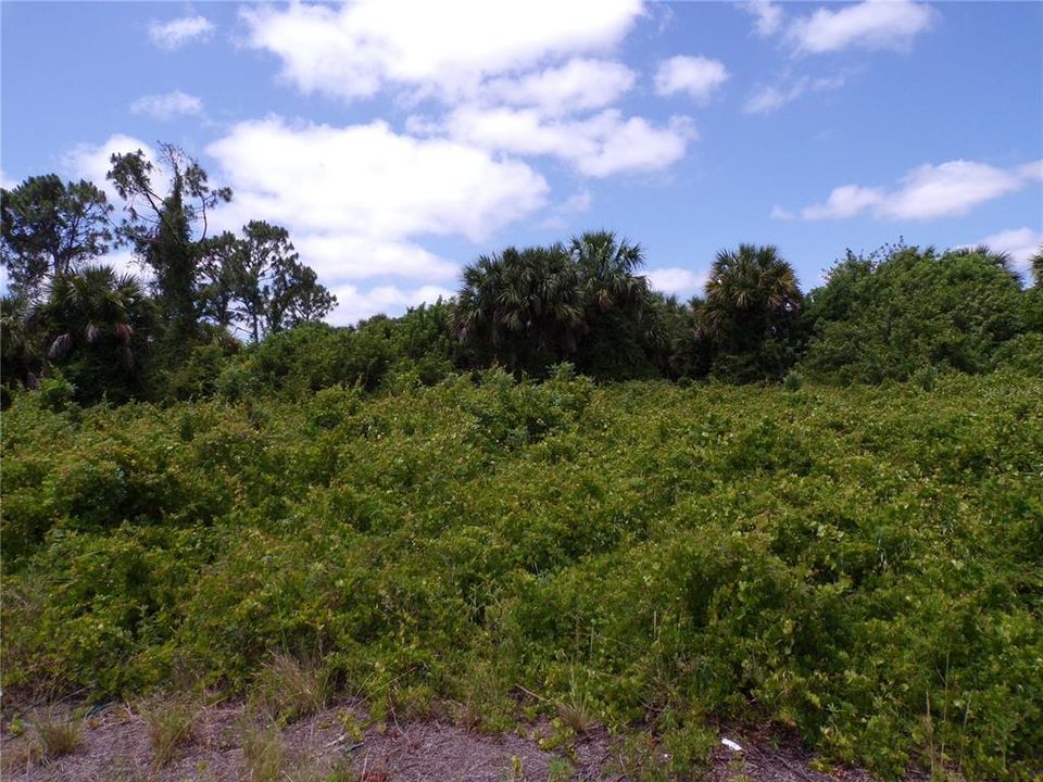 Active With Contract: $26,500 (0.71 acres)