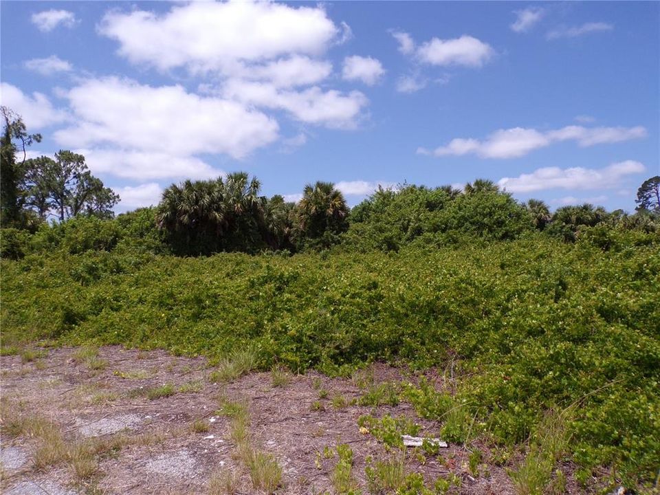 Active With Contract: $26,500 (0.71 acres)