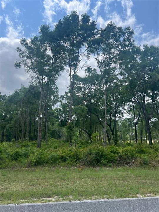 Active With Contract: $125,000 (10.01 acres)