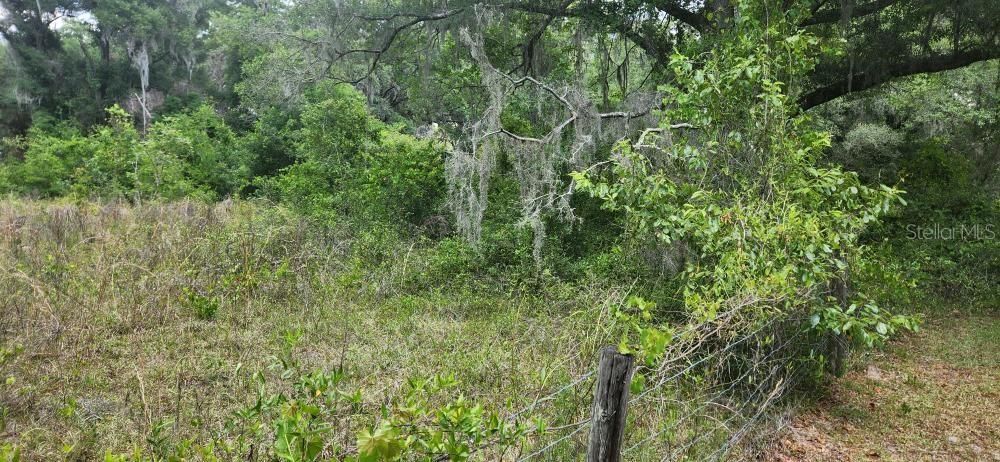 Active With Contract: $99,900 (2.44 acres)
