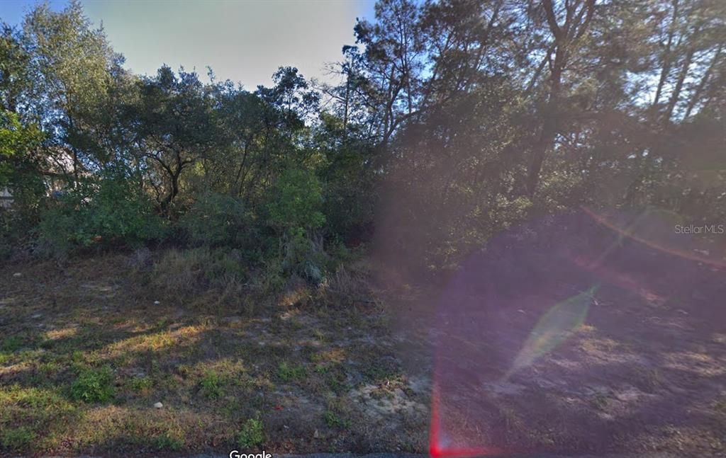 For Sale: $59,000 (0.23 acres)