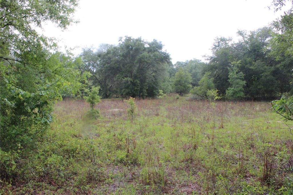 Recently Sold: $50,000 (5.00 acres)