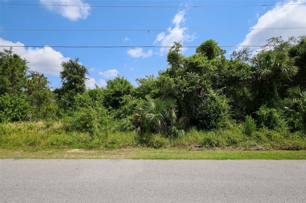 For Sale: $29,000 (0.23 acres)