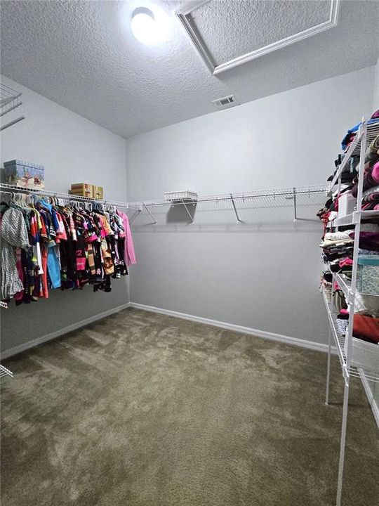 Owner's Suite-Large Walk-In closet