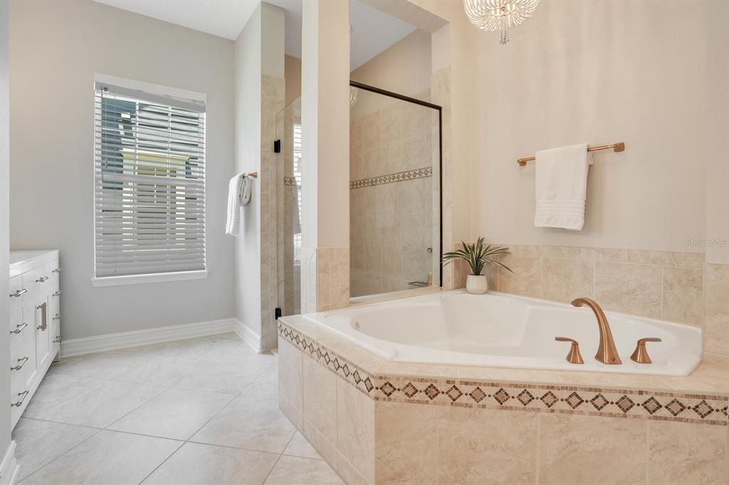 Standalone shower and large soaking tub