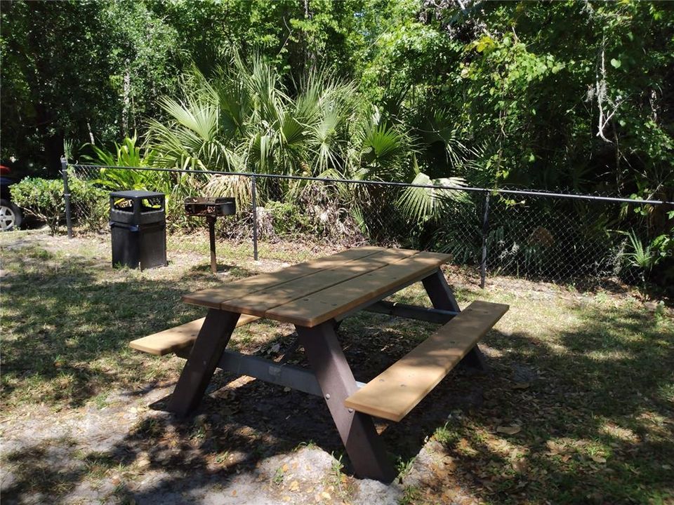 Grill and Picnic Area for Summer's evening cookouts
